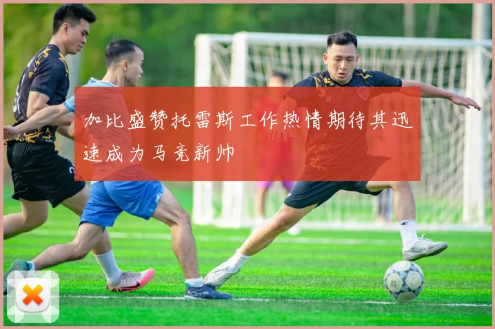 加比盛赞托雷斯工作热情期待其迅速成为马竞新帅