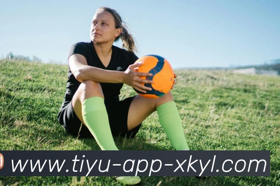 星空体育发展历程